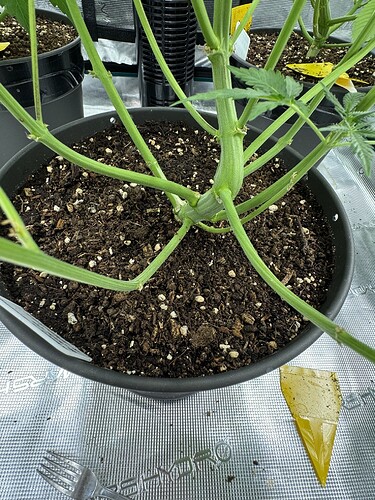Growreport Bild 16