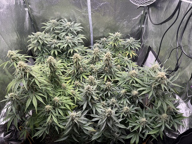 Growreport Bild 24