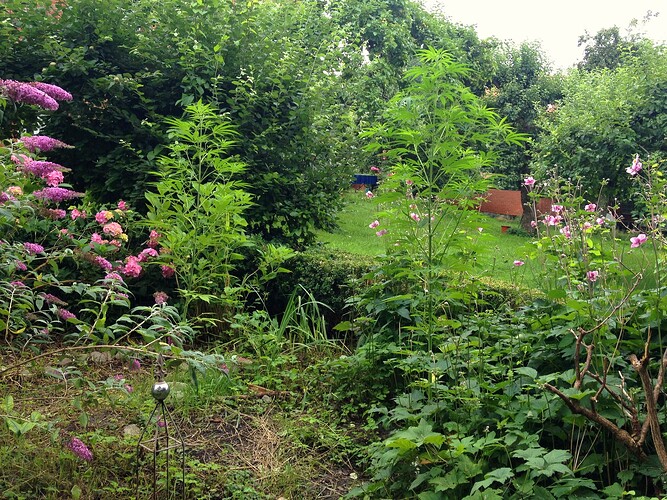 Growreport Bild 15