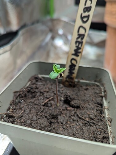 PXL_20240703_201214376.RAW-01.COVER