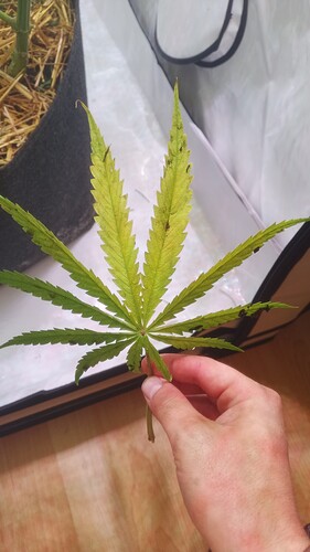 Growreport Bild 8