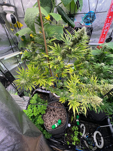 Growreport Bild 4