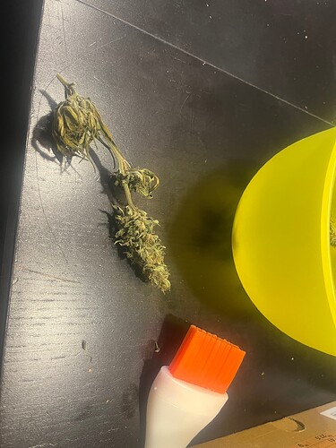 Growreport Bild 21