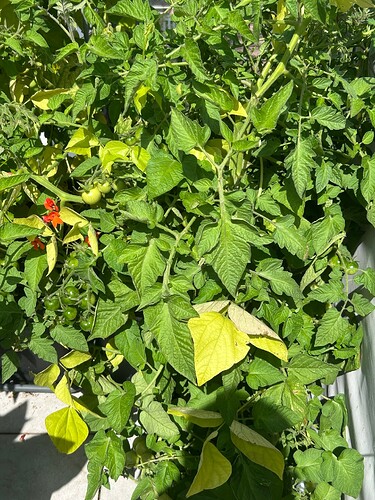 Growreport Bild 21