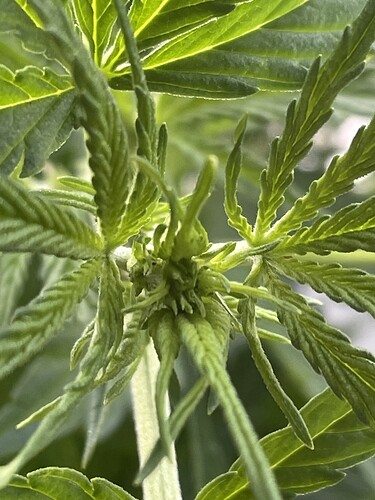 Growreport Bild 20