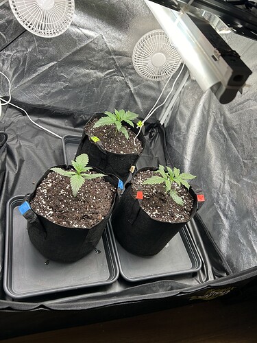 Growreport Bild 7