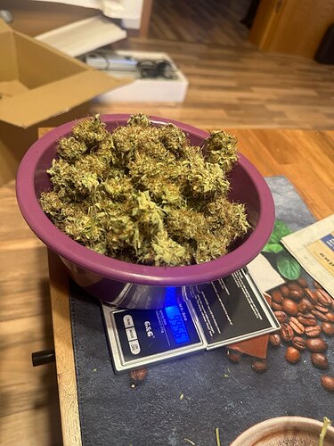 signal-2024-08-23-211332_002