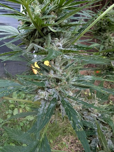 PXL_20250901_161710981