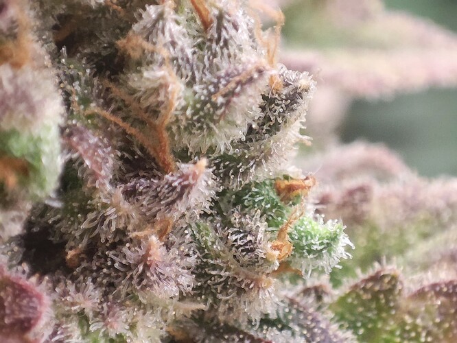 Growreport Bild 10