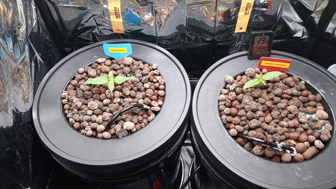 Growreport Bild 7