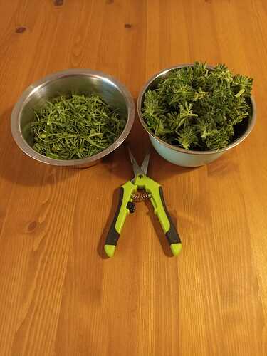 WhatsApp Bild 2024-10-30 um 09.09.41_116a020b