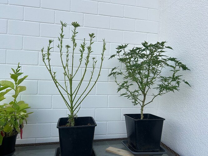 Growreport Bild 22
