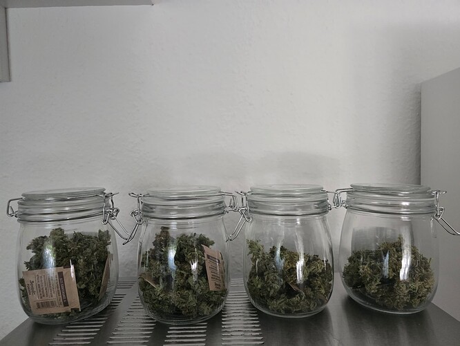 Growreport Bild 16