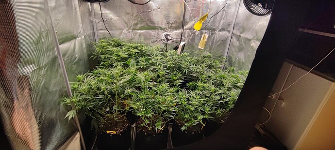 Growreport Bild 18
