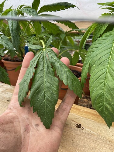 Growreport Bild 13