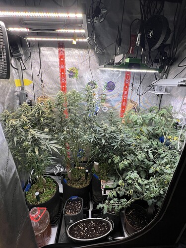 Growreport Bild 13