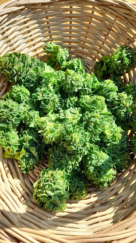 Growreport Bild 20