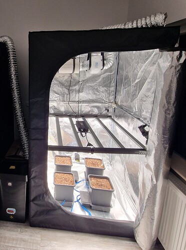 Growreport Bild 2