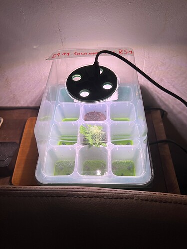 Growreport Bild 6