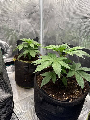 Growreport Bild 15