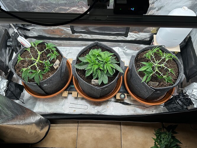 Growreport Bild 14