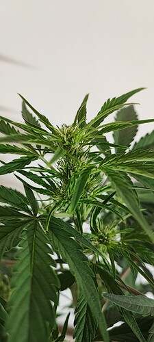 Growreport Bild 2