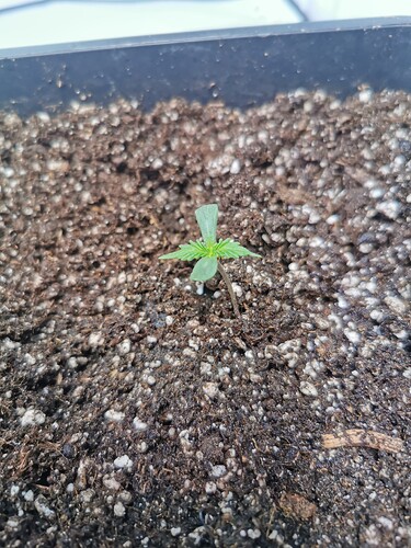 Growreport Bild 8