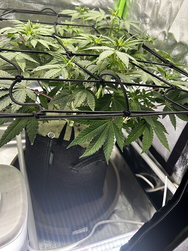 Growreport Bild 11