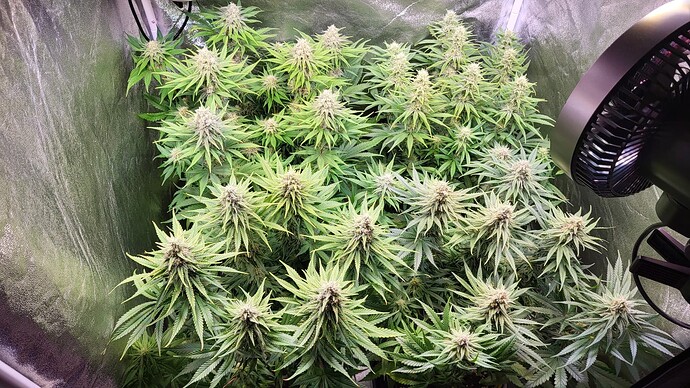 Growreport Bild 24