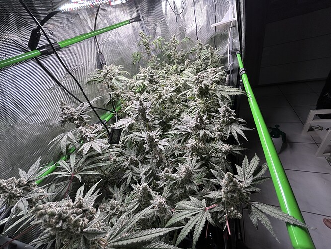 Growreport Bild 5