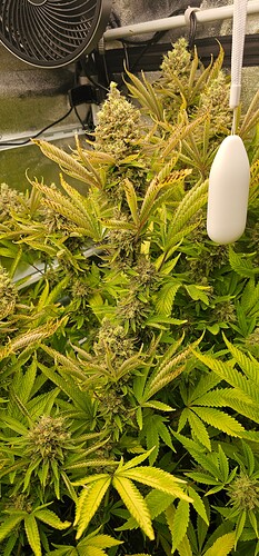 Growreport Bild 28