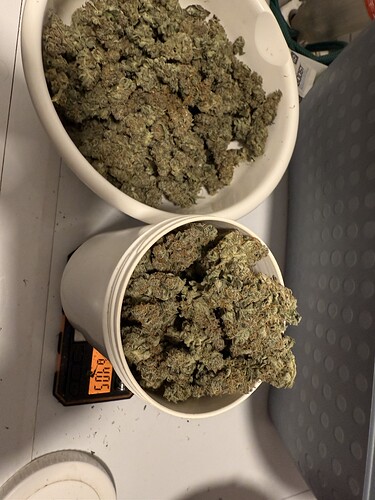 Growreport Bild 26