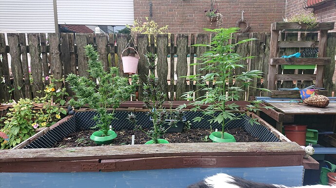 Growreport Bild 20