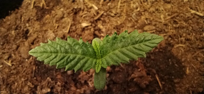 Growreport Bild 11