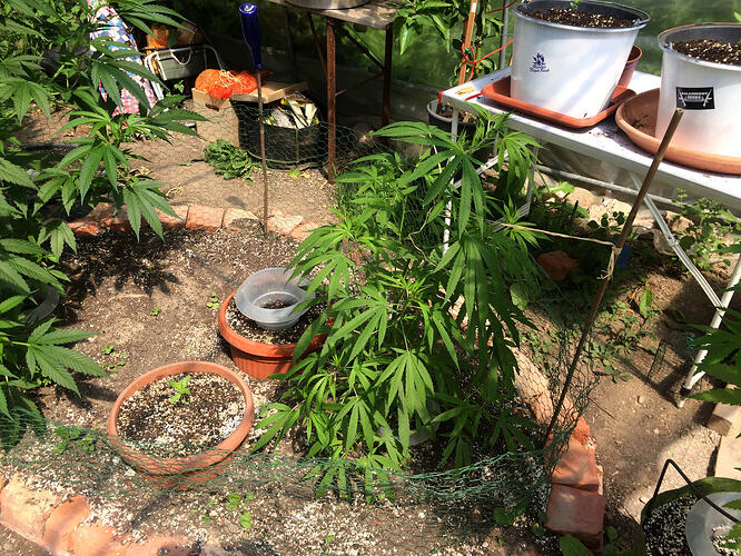 Grow26_0721_2