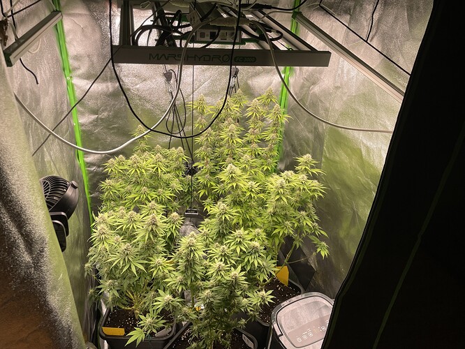 Growreport Bild 2