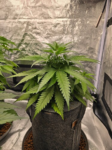 Growreport Bild 11