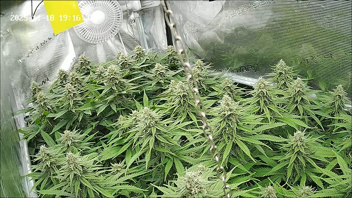 Growreport Bild 14