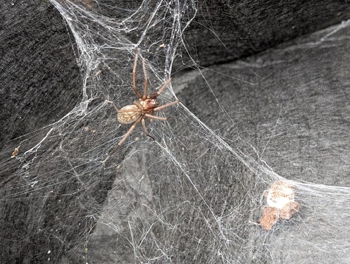 PXL_20250614_165727371