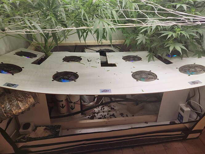 Growreport Bild 1