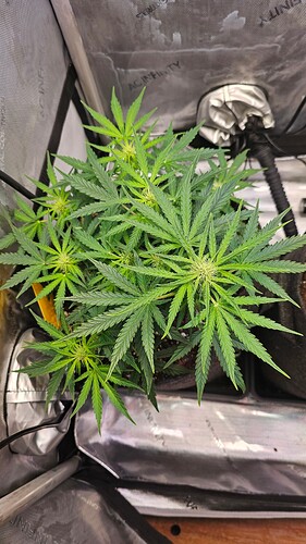 Growreport Bild 19