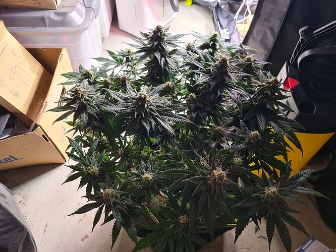 Growreport Bild 10