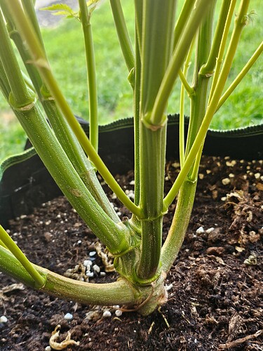 Growreport Bild 4