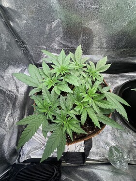 Growreport Bild 13