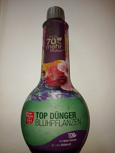 IMG_20240410_074457856