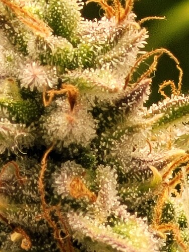 Growreport Bild 21