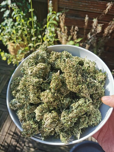 Growreport Bild 1