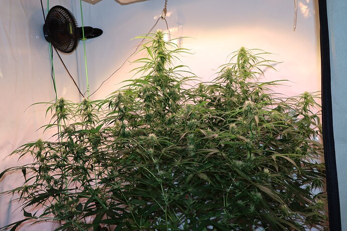 Growreport Bild 10