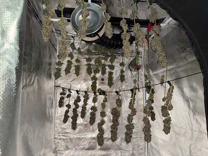 Growreport Bild 46