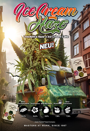 Growreport Bild 17